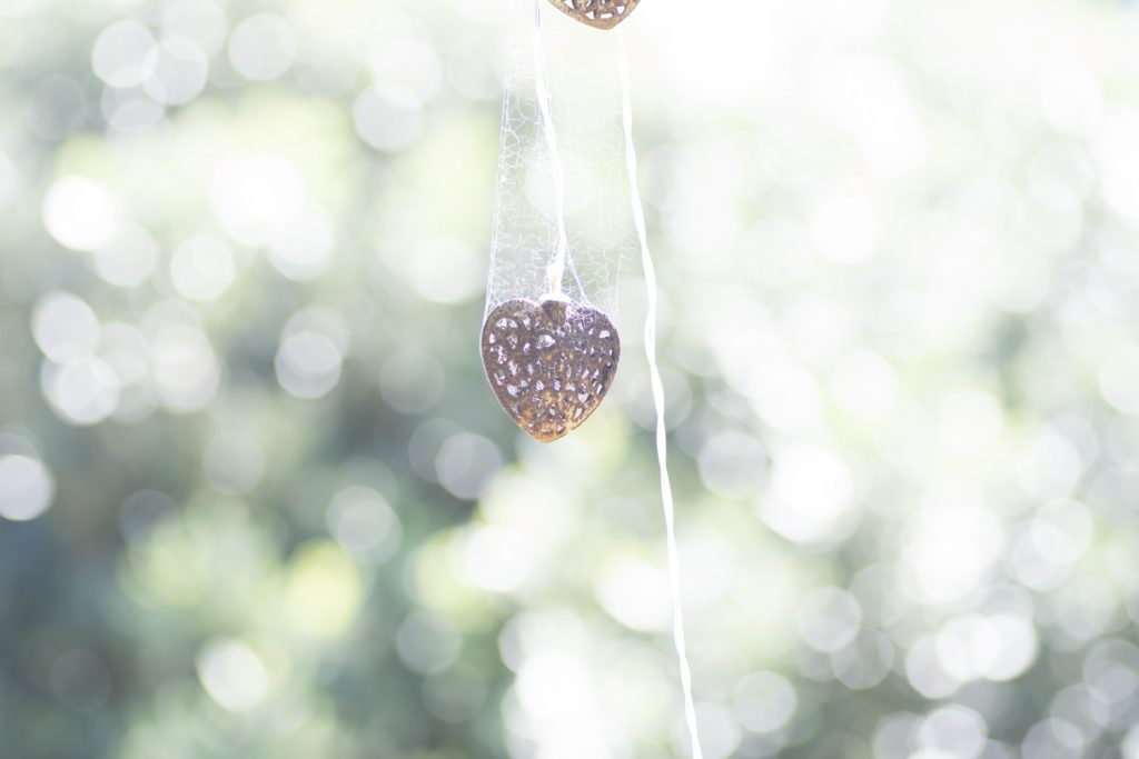 The same image with Exposure compensation set to 1 stop brighter than camera's recommendation