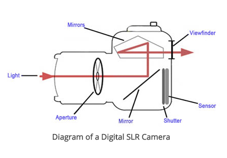 Cross section of DSLR camera showing the inner workings of the mirror