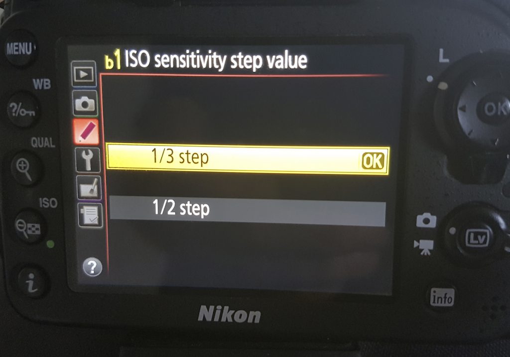 The menu option in modern DSLRs showing the ISO sensitivity step increments