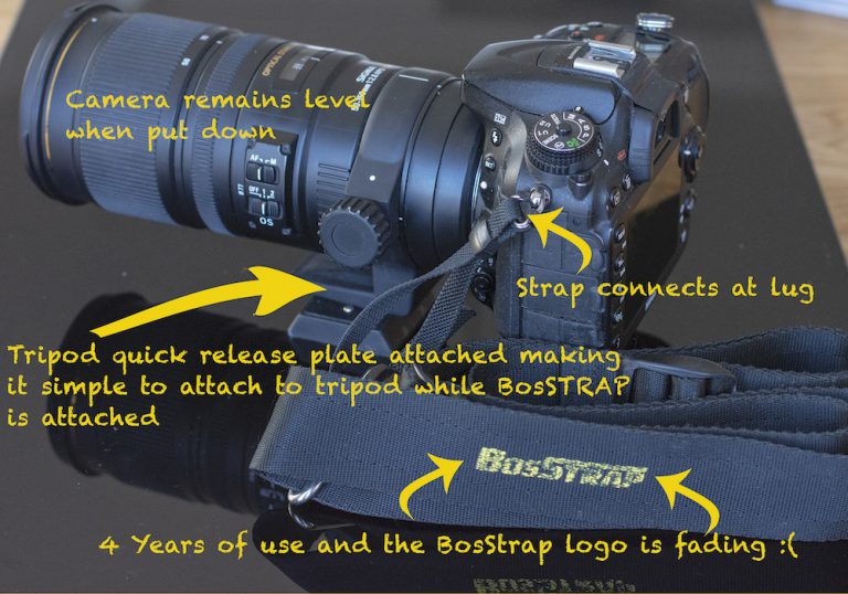 BosSTRAP attached to Nikon camera with details of the BosSTRAP's unique features