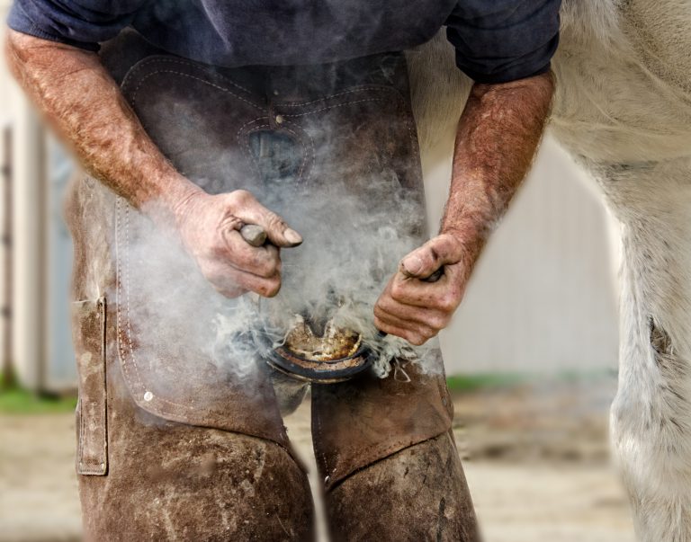 Action Shot of a Farrier fitting a shoe on a horse with the smoke billowing off the hot shoe and hoof