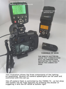 The yongnuo 560IV lighting kit with the speed light, transmitter and remote shutter release assembled