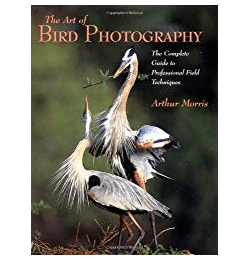Best Photography Books The Art Of Bird Photography