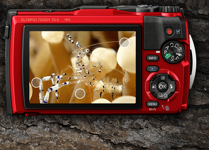 Best Point And Shoot Camera TheRear screen of the Olympus Tough TG 6